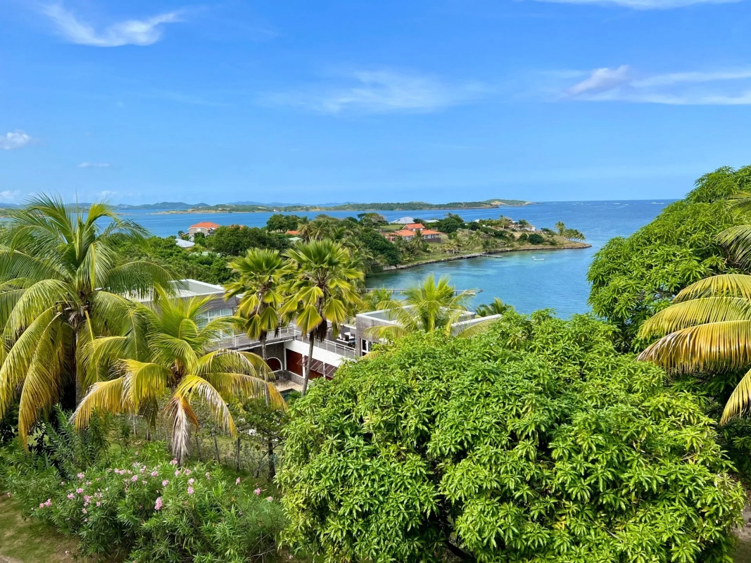 Location villa luxe Martinique - Vu de la terrasse